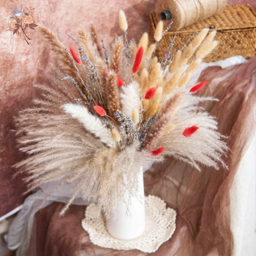 Natural Pampas Lavender Dried  - Pampas Grass Decor review and price