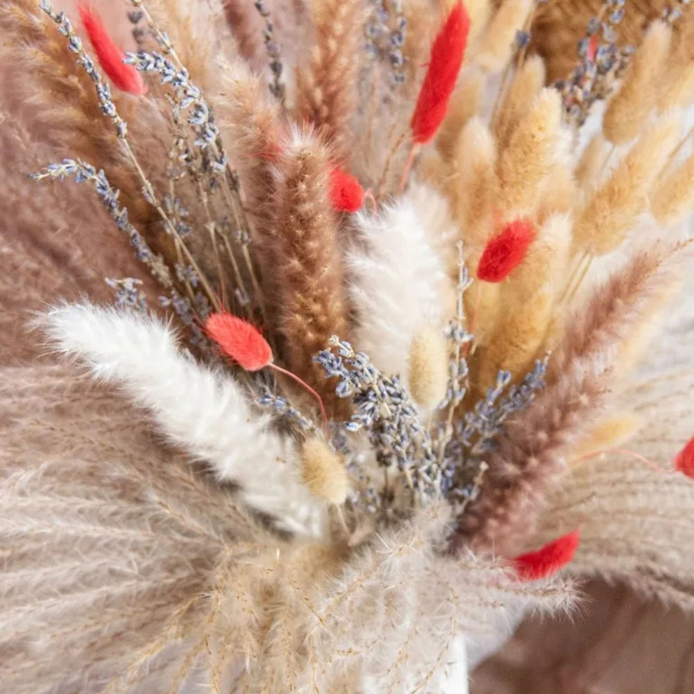 Natural Pampas Lavender Dried  - Pampas Grass Decor review and price