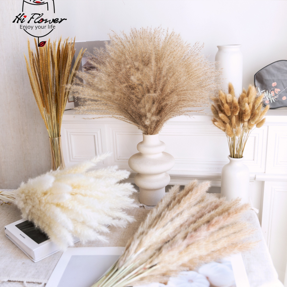 Natural Dried Pampas Grass Bou - Pampas Grass Decor review and price