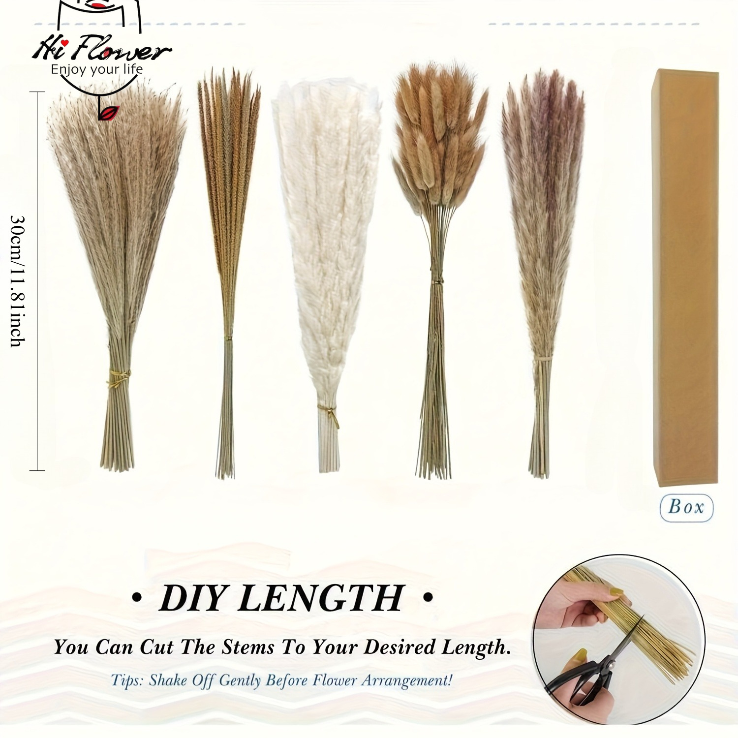 Natural Dried Pampas Grass Bou - Pampas Grass Decor review and price